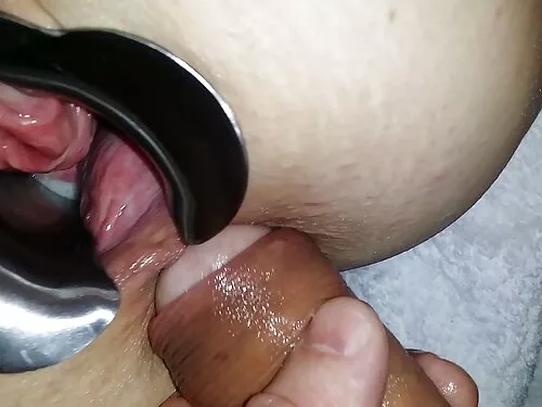 شلخته سیلویا دیلی نی ...
